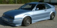 anser1