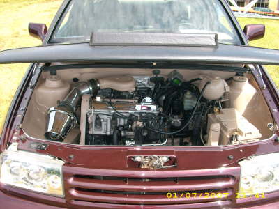DSCI0065