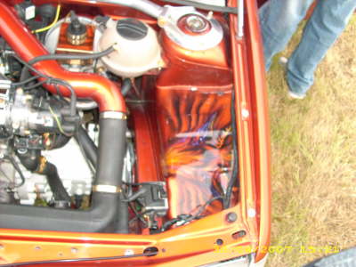 DSCI0243