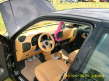 DSCI0310