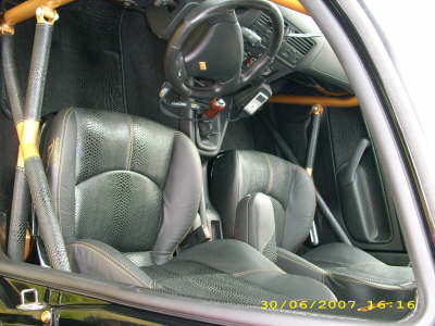 DSCI0333