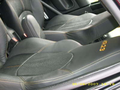 DSCI0335