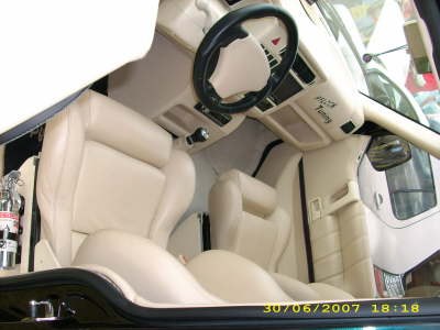 DSCI0541